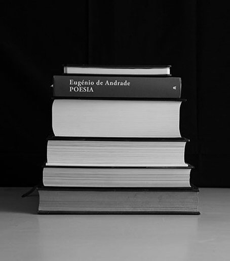 &ldquo;momentos poi&eacute;ticos&rdquo;, 25 #luisbarreira