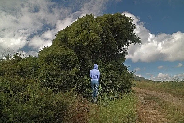 &ldquo;paisagens habitadas&rdquo;, 16
📸 @lcbphotos 

#vogue#voguemagazine#voguechallenge#vogueitalia#vogueportugal#vogueuk#voguefrance#photovogue