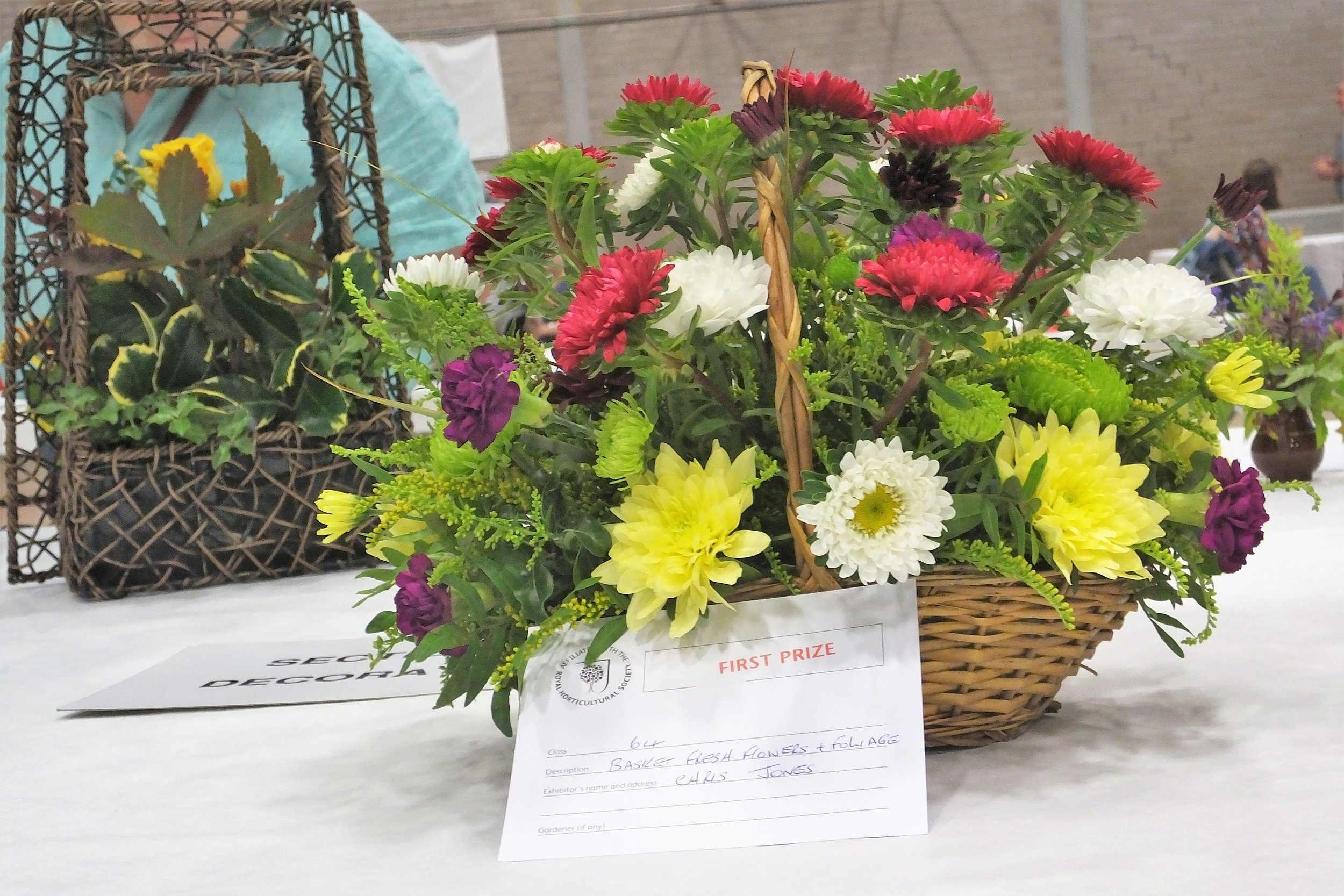 2017_08_19Llantwit Horti Show 001.JPG