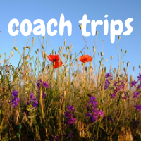 Coach Trips   