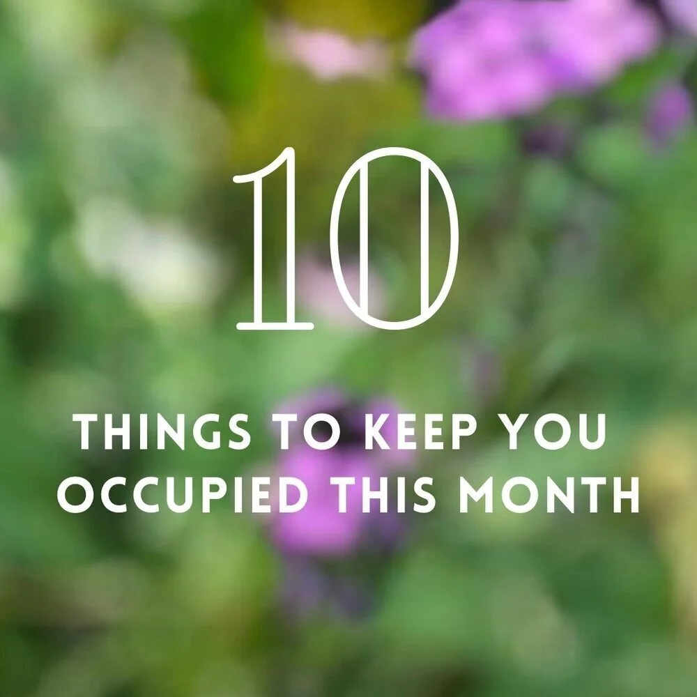 10 Things to Keep You Occupied This Month  