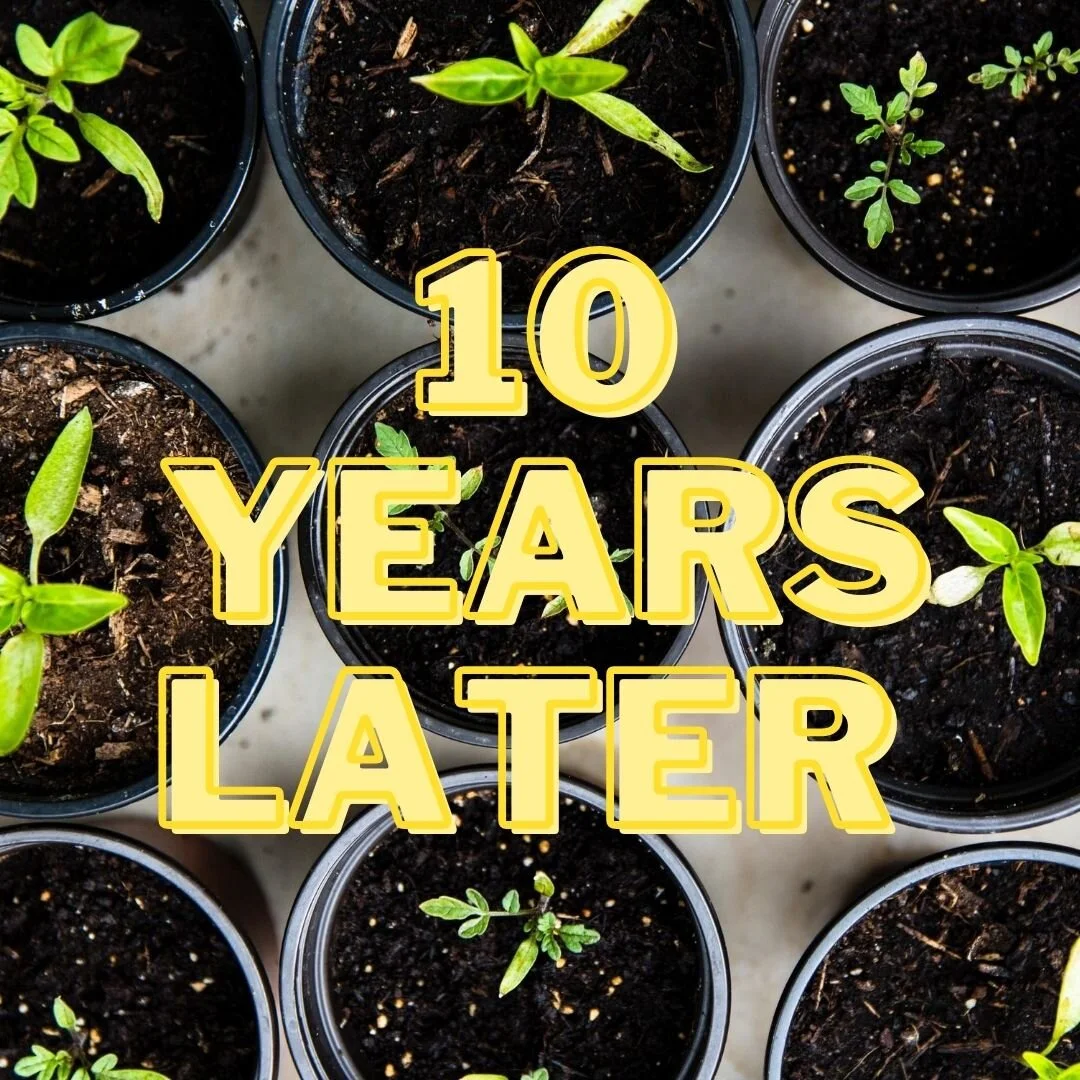 10 Years later.... 