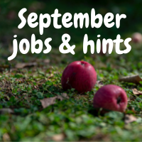 September jobs 