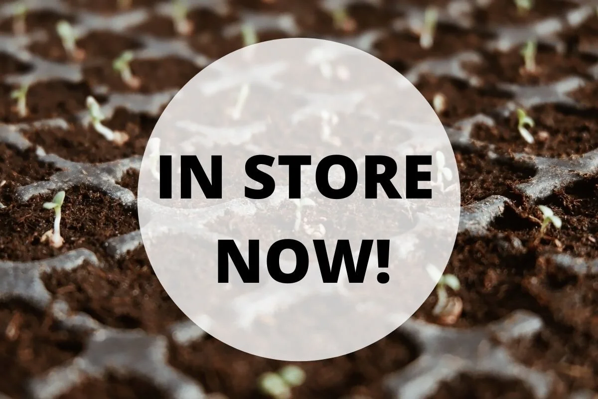 In Store Now!   