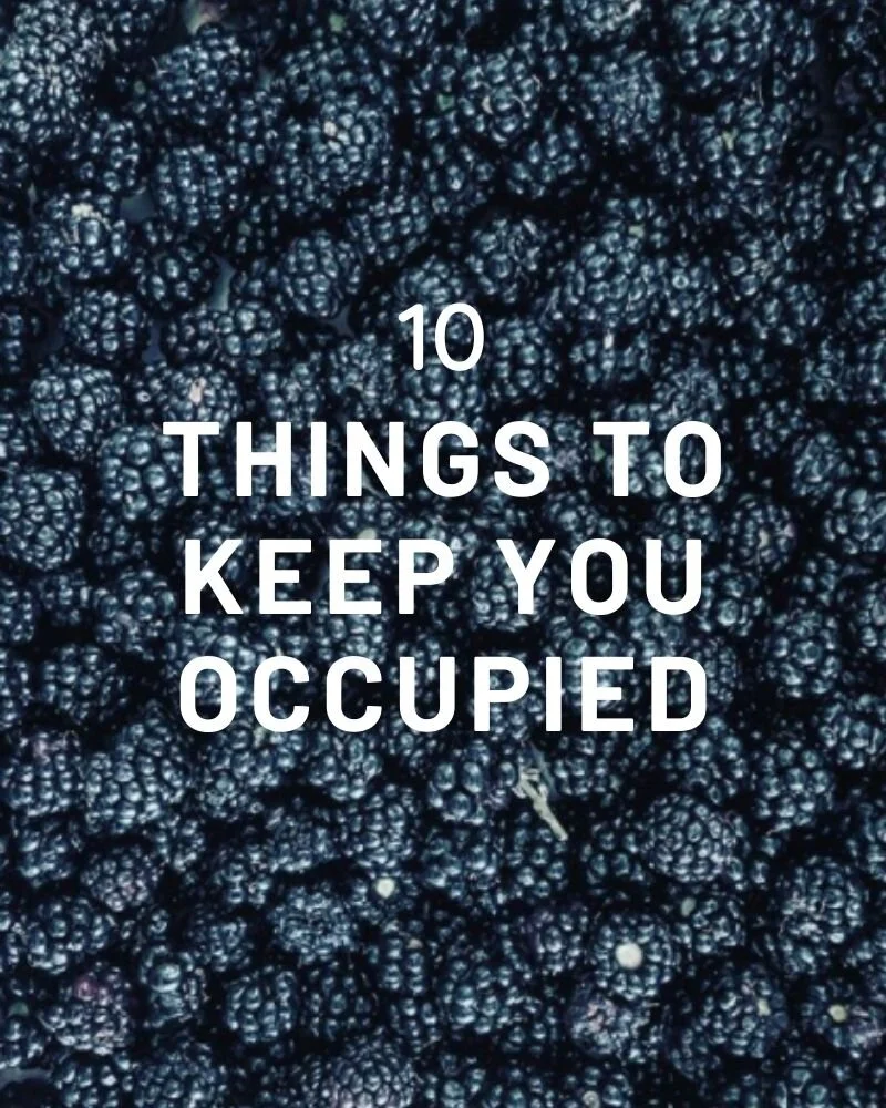 10 Things to Keep you Occupied this Month  