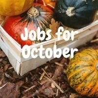 Jobs for October  