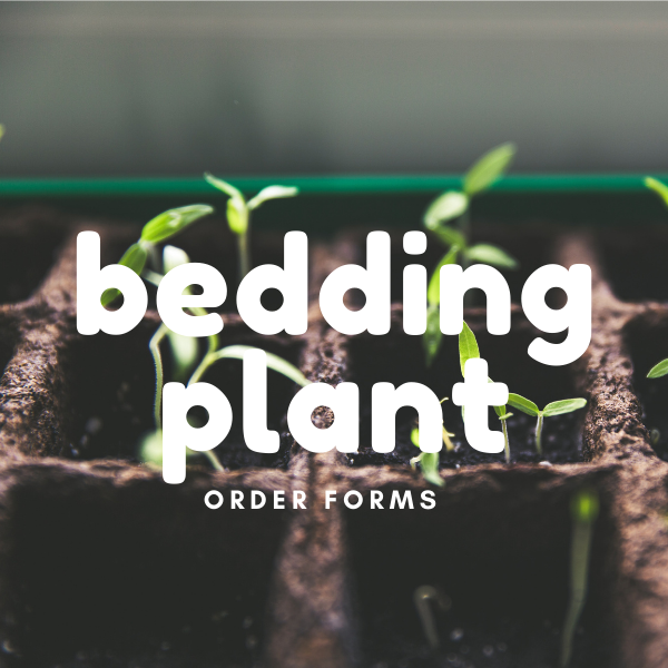 Bedding Plant Order Forms  