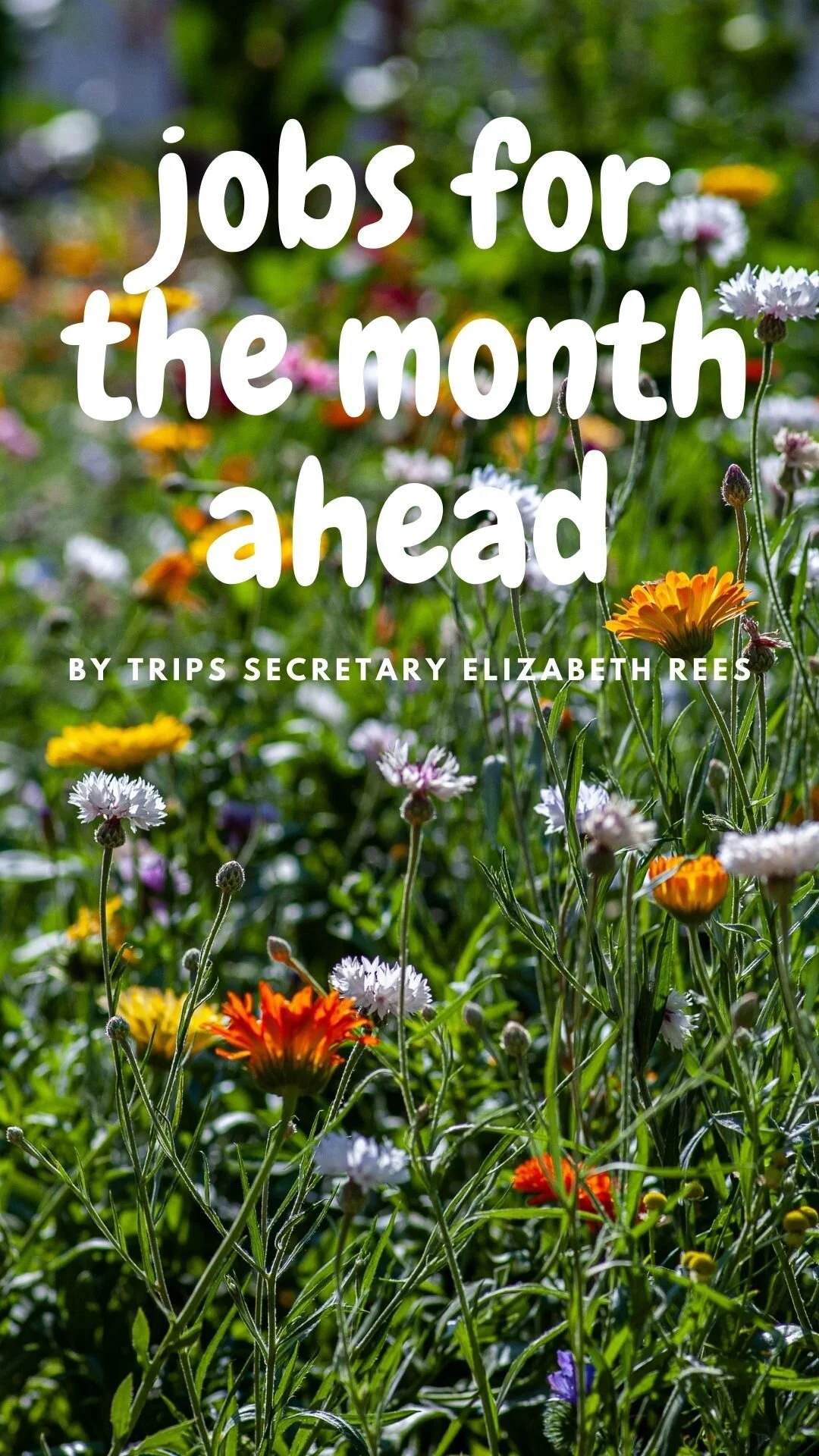 Jobs for the month