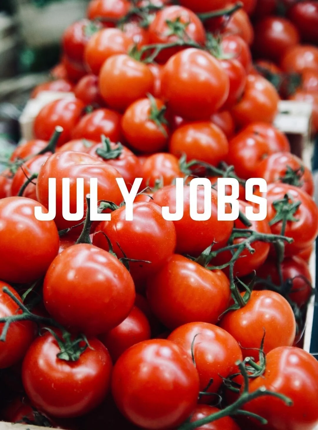 July Jobs 