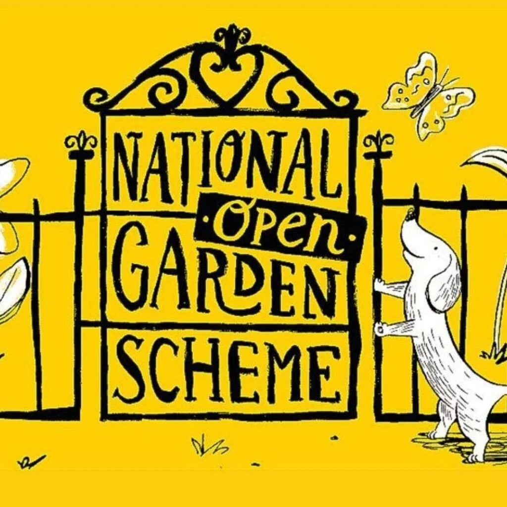 NGS x Woodland Trust 