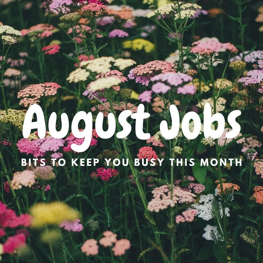August Jobs  