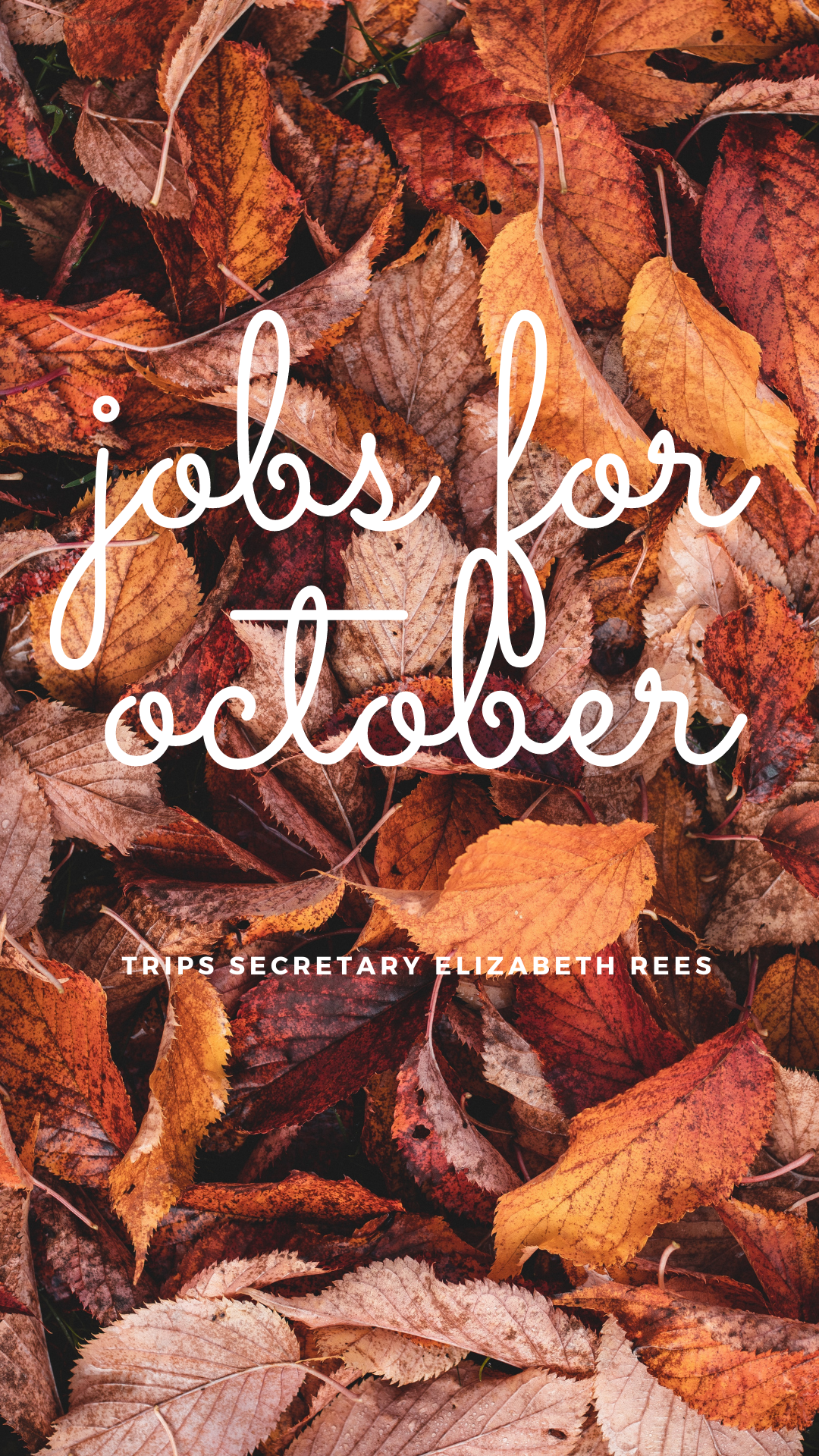 Jobs for October  