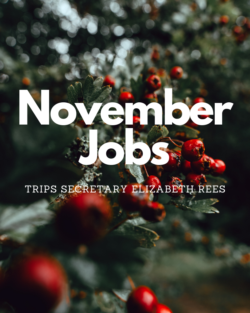 November Jobs  