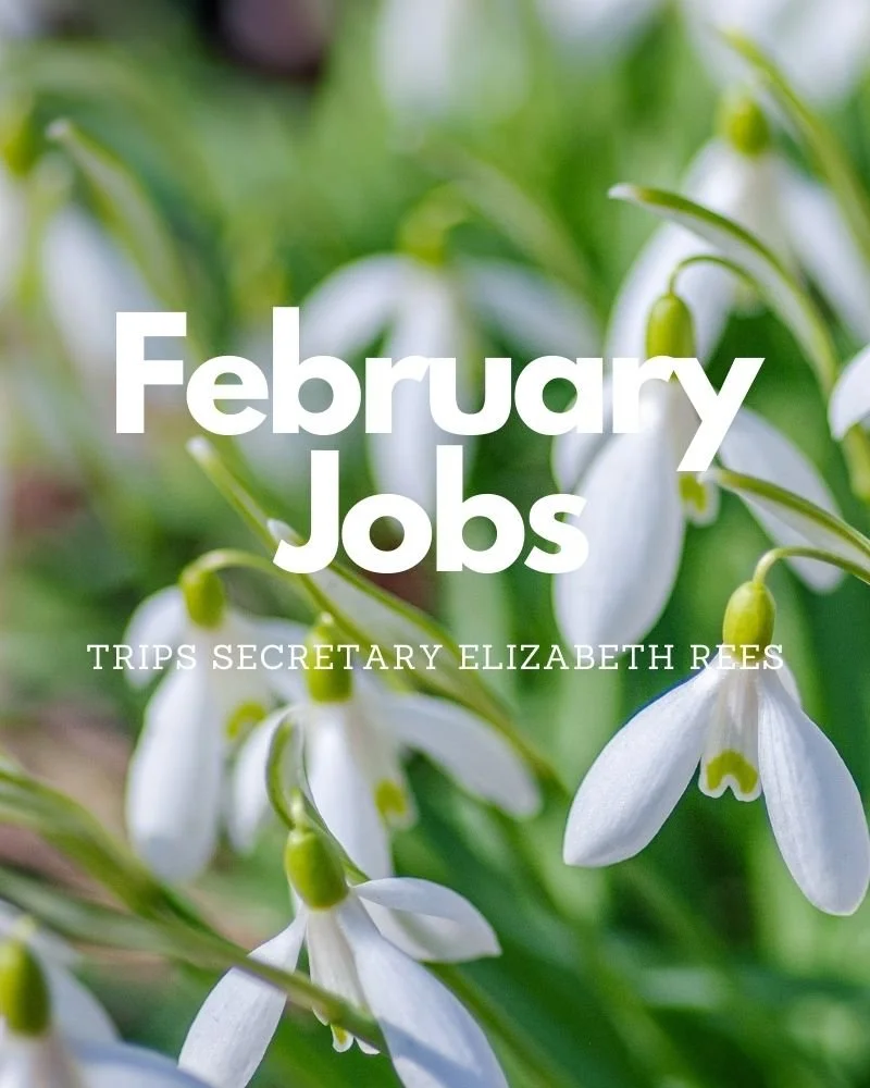 February Jobs