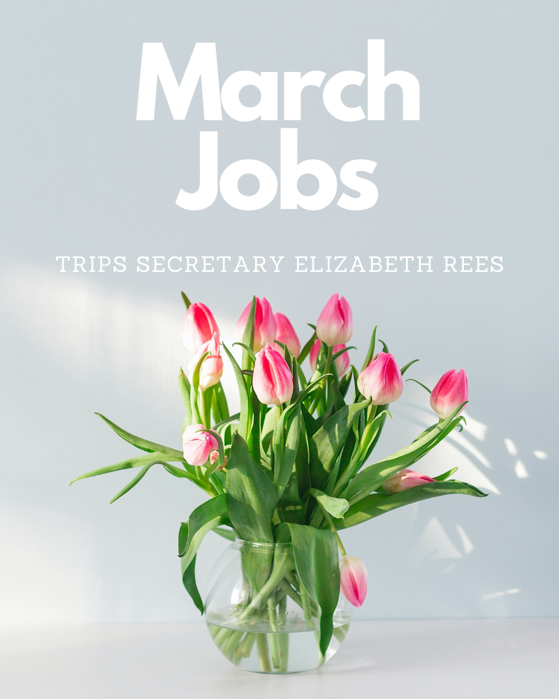 March Jobs  