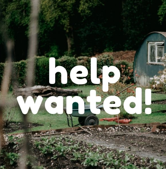 Help Wanted 