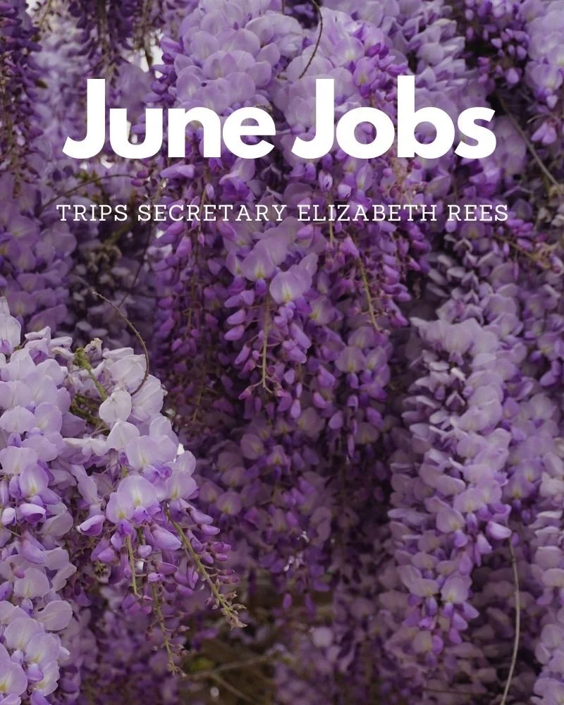 June Jobs 