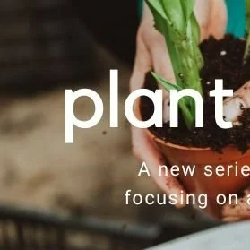 Plant Profile: July