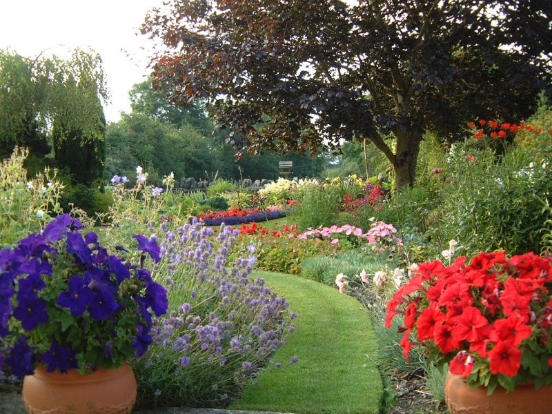 NGS Opening this month