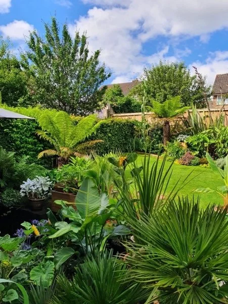 NGS Gardens open this week