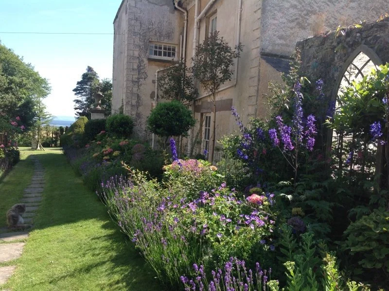 NGS Gardens open this week...