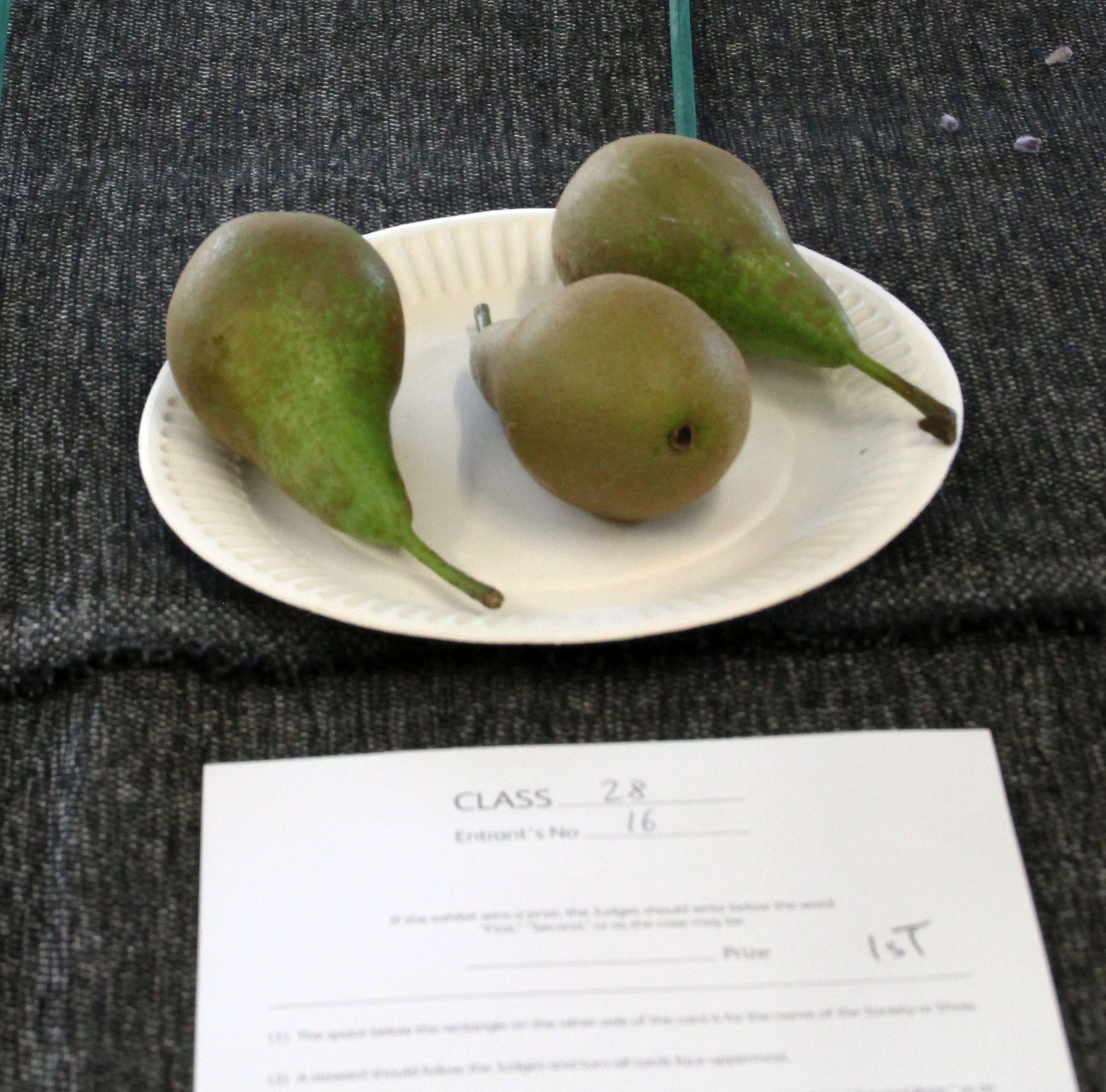 1st for the Pears .jpg