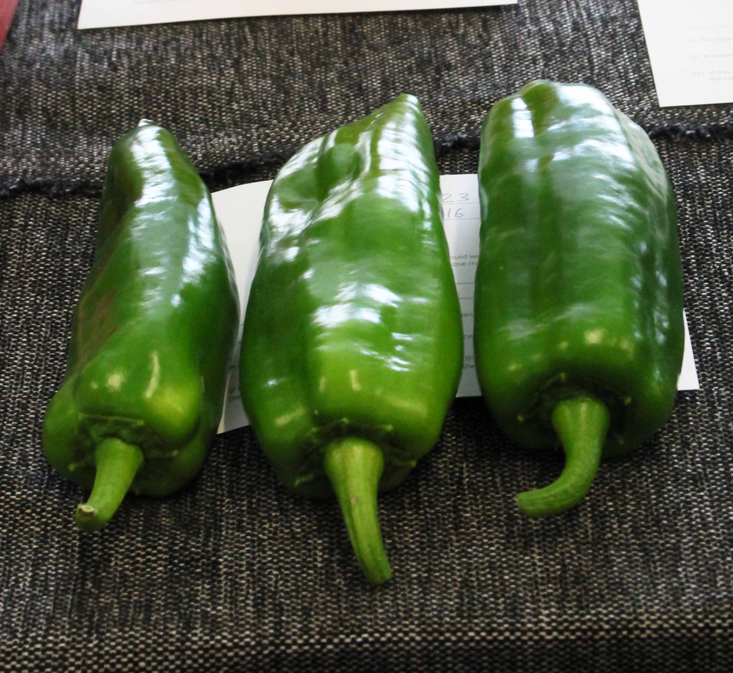 3 green peppers.jpg