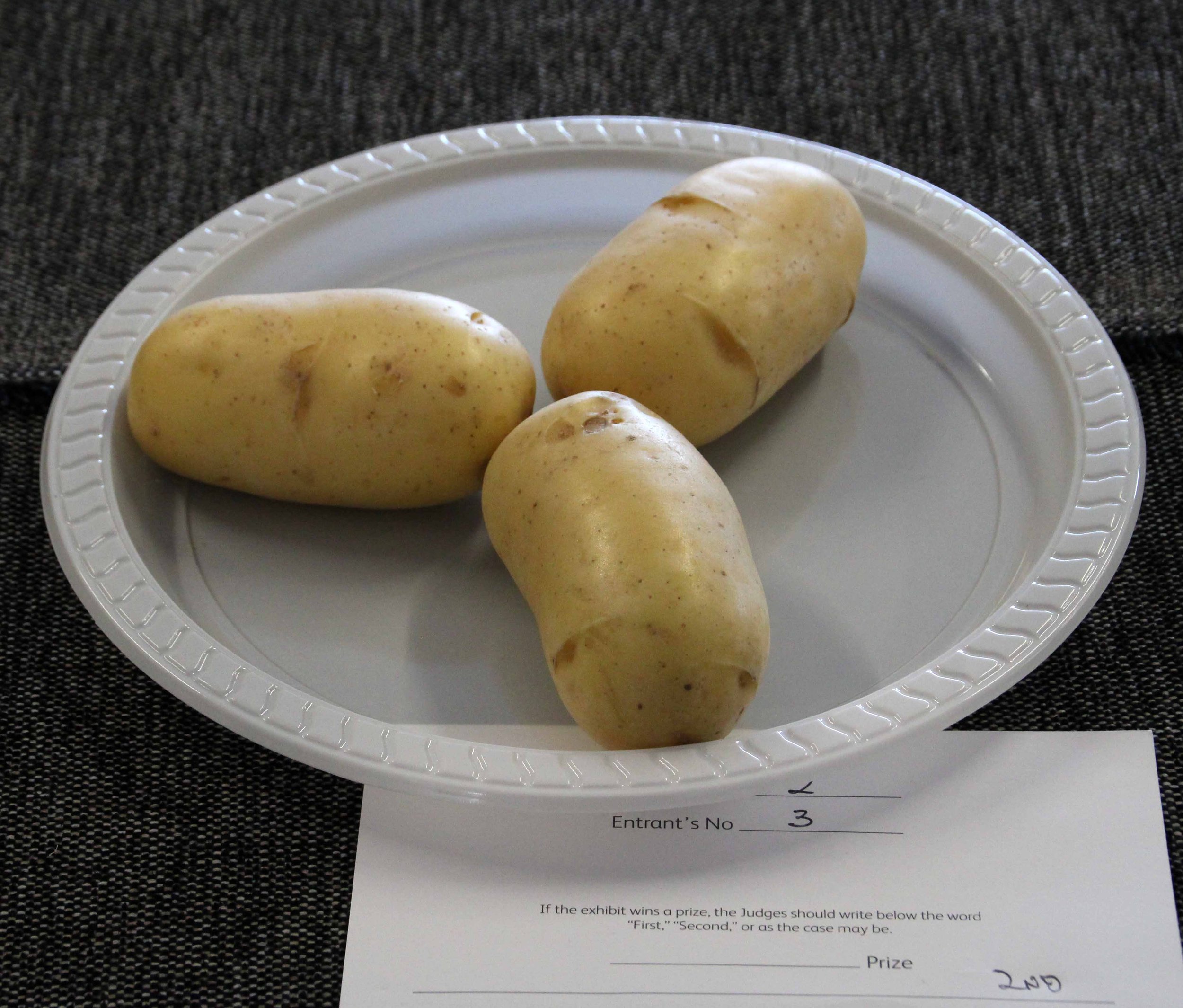 3 potatoes white.jpg