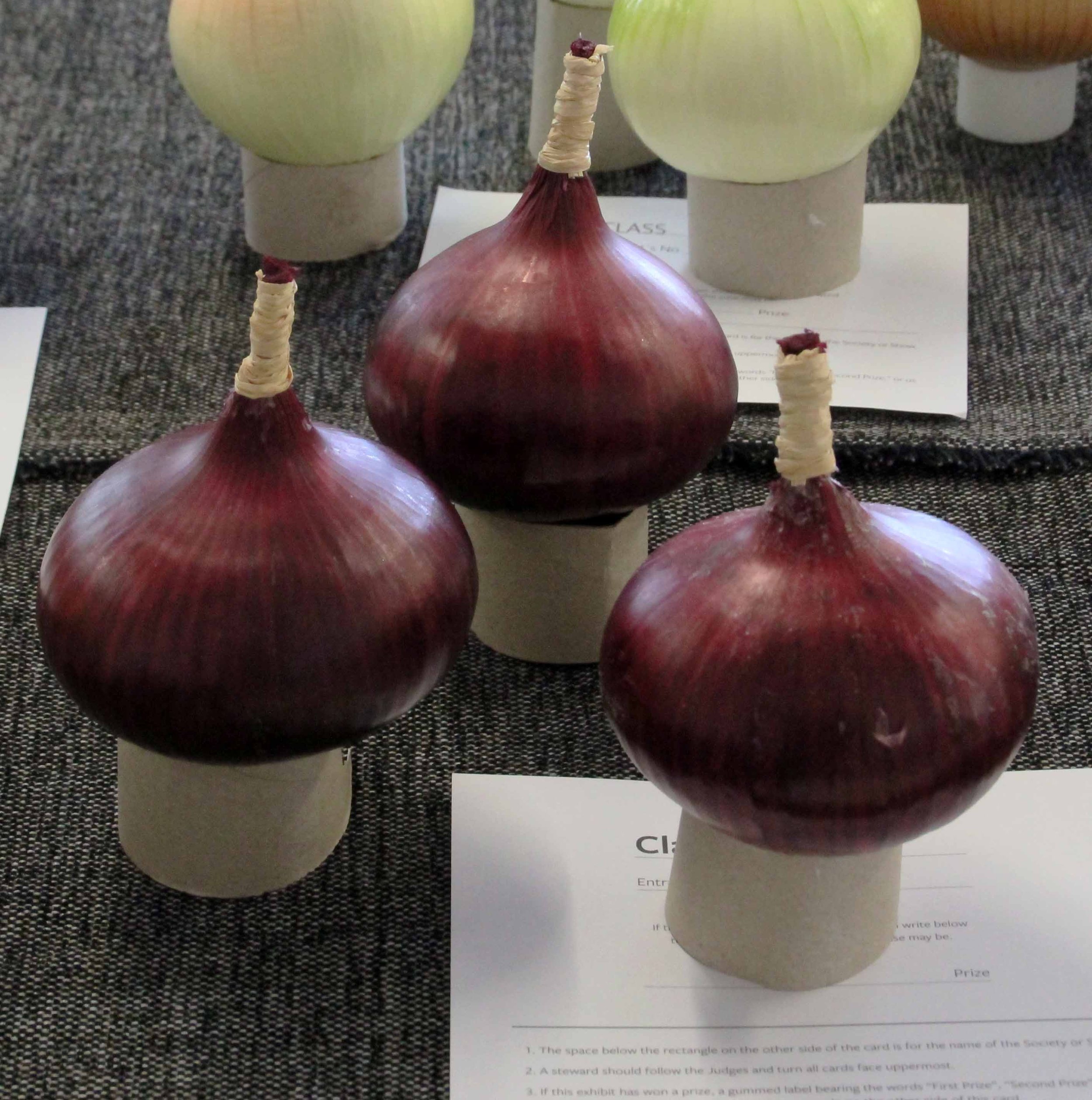 Dresed red onions.jpg