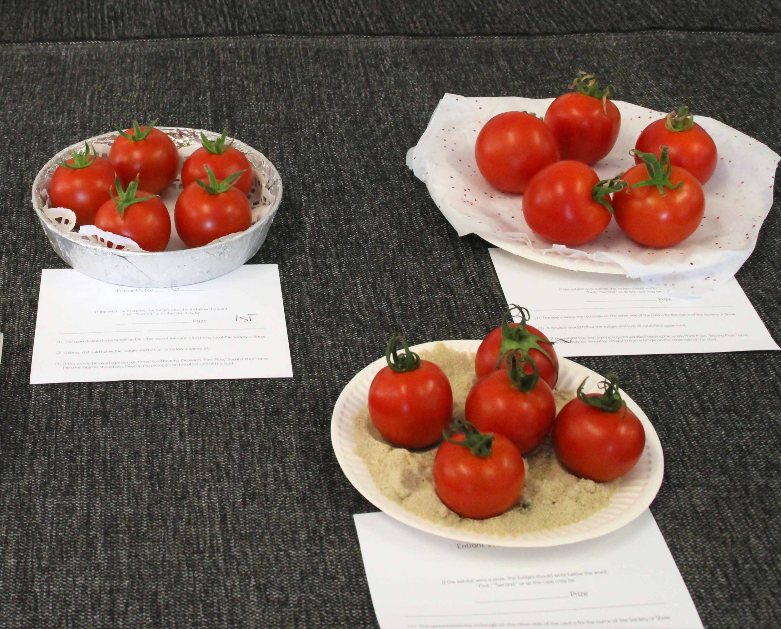 Ken Jones, tomatoes best in show award..jpg