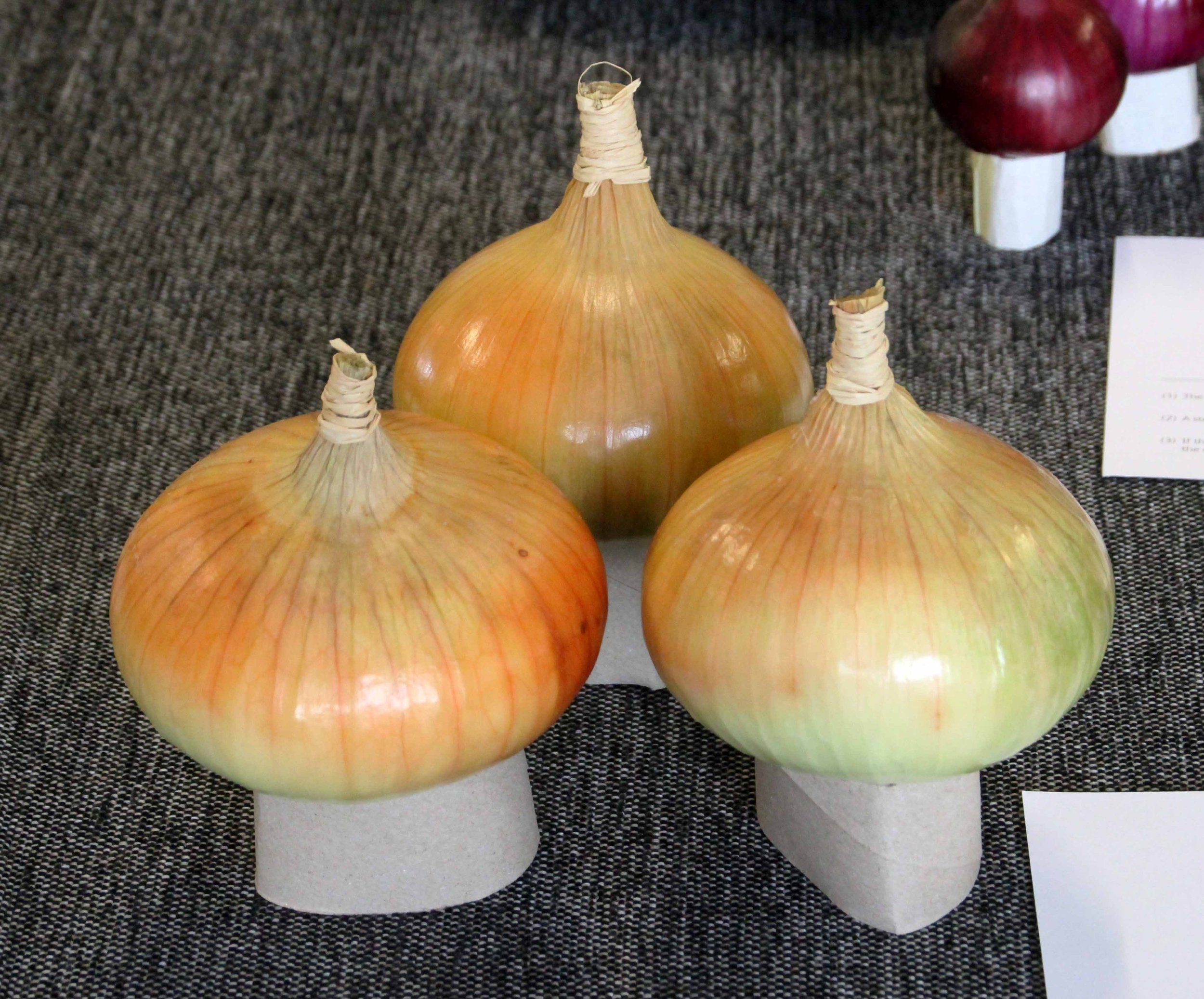 Three onions dressed.jpg