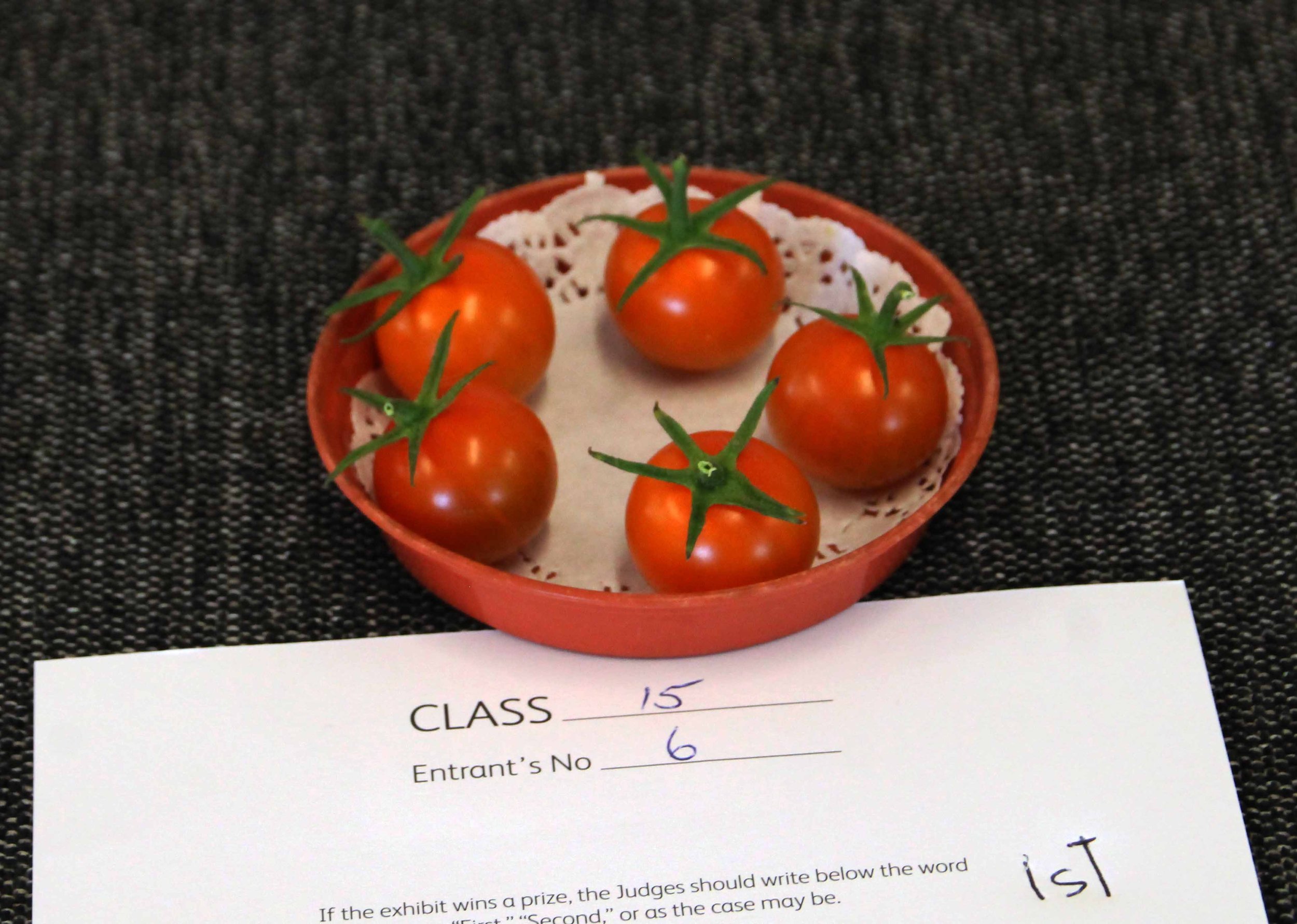 Tomatoes under 35mm dia.jpg