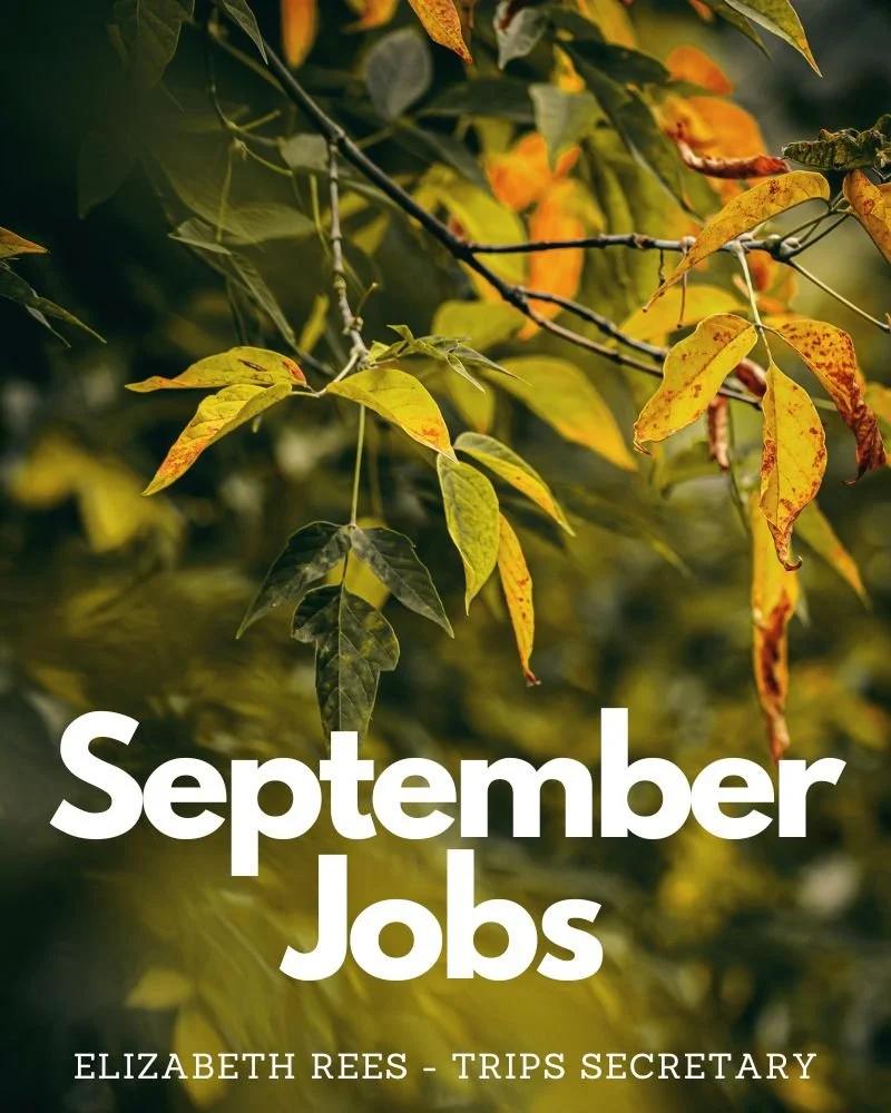 September Jobs 