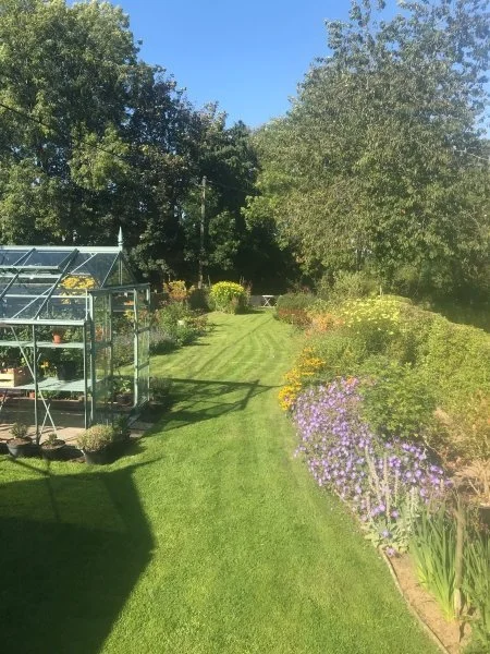 NGS Opening this week