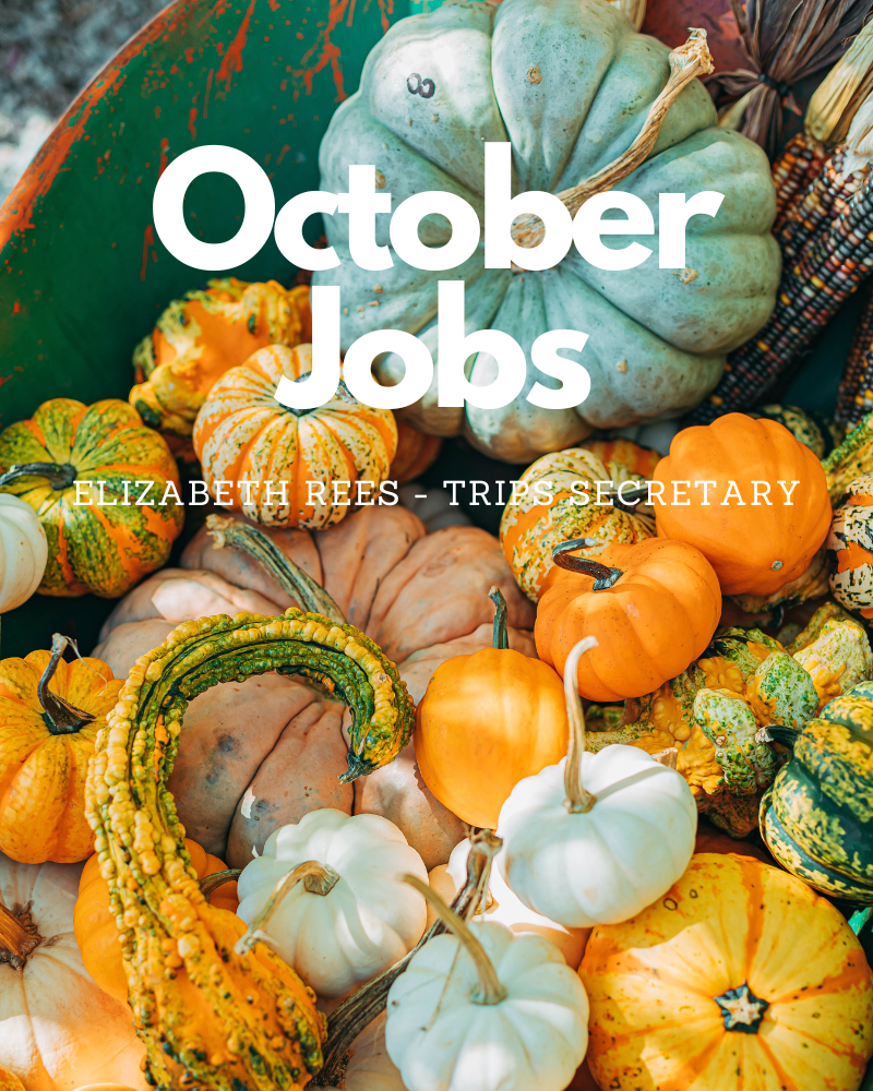 October Jobs