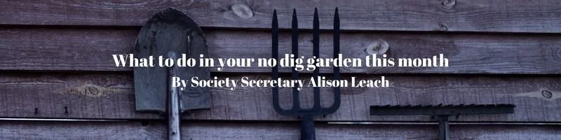 What to do in your no dig garden this month...