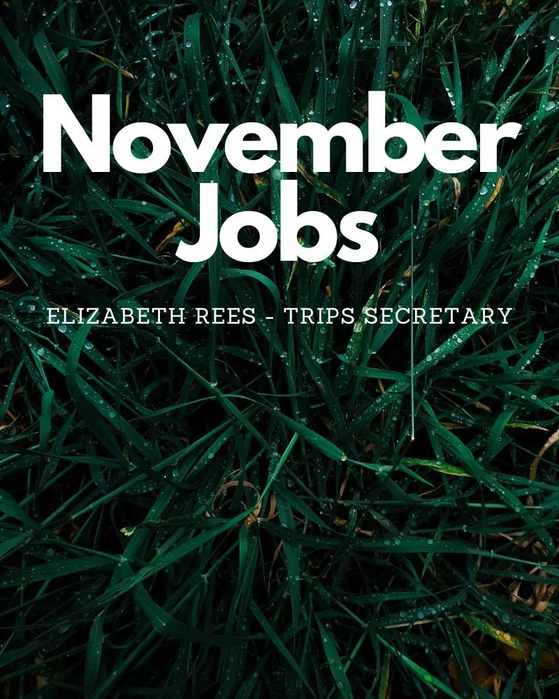 Jobs for November