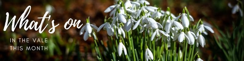 What's on in the Vale this month? 