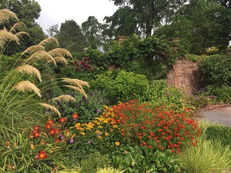 NGS Open Garden This Week!