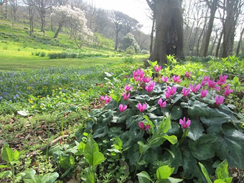 NGS opening this weekend