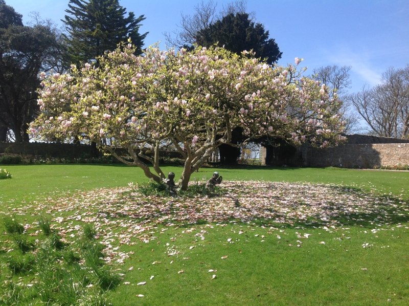 NGS opening this weekend