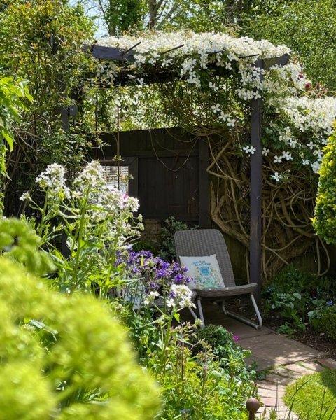 NGS Opening this weekend!