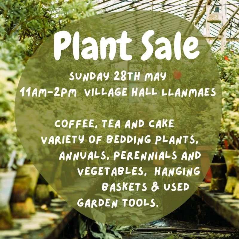 Llanmaes Plant Sale 
