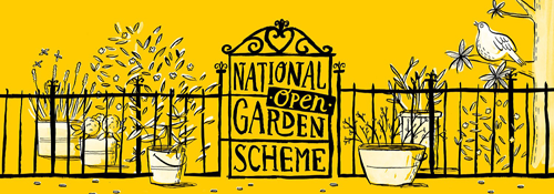 NGS Openings this weekend!