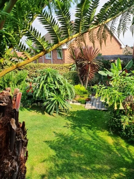 NGS opening this weekend 