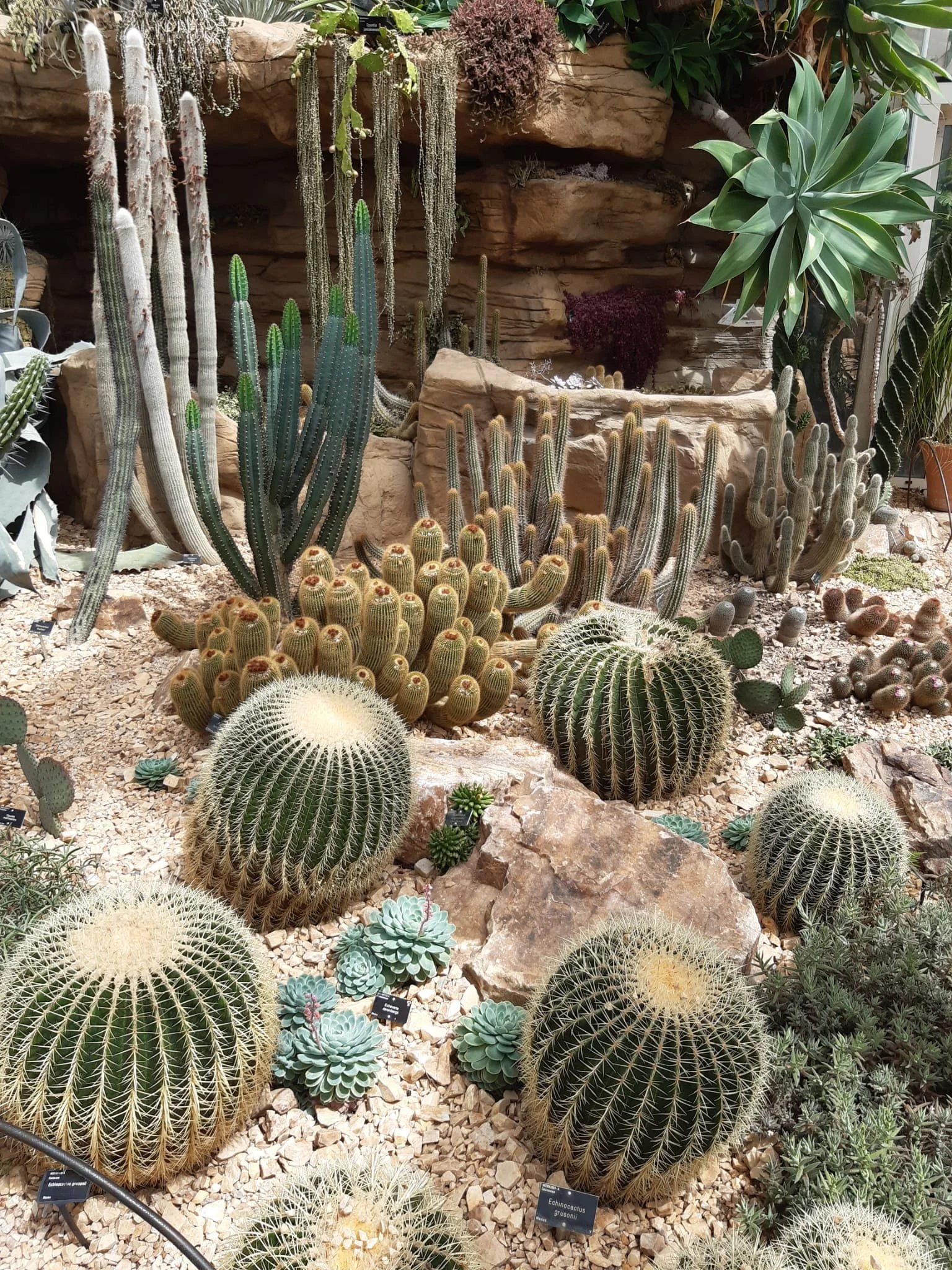 Wisley Coach Trip Report 