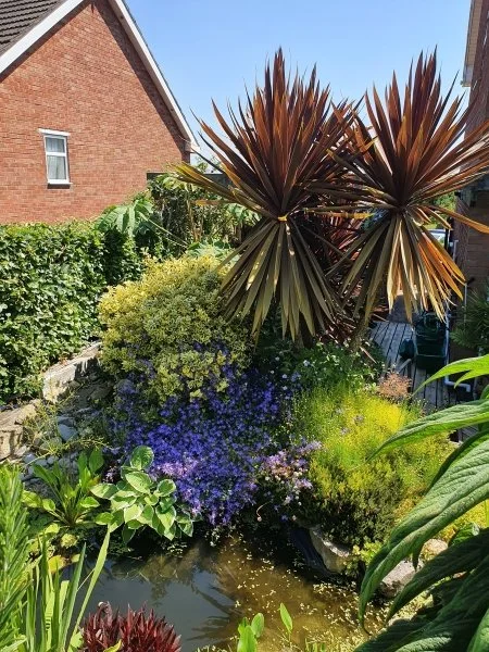 NGS garden open this weekend 