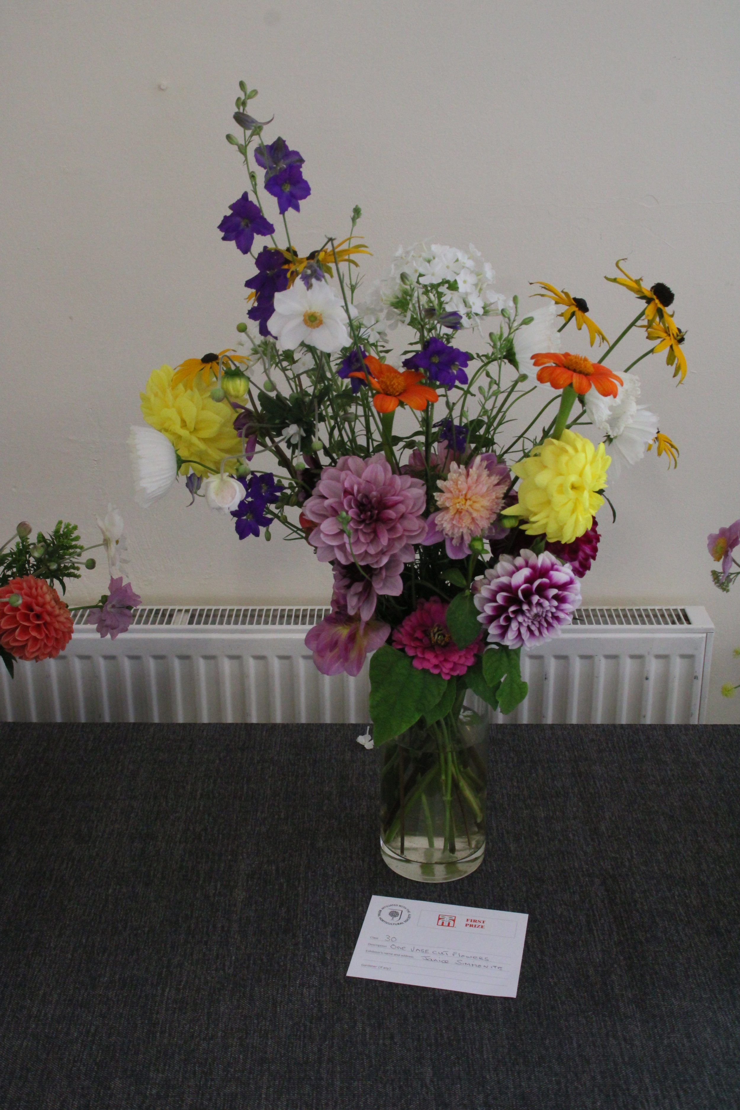 47th ANNUAL SUMMER SHOW REPORT  