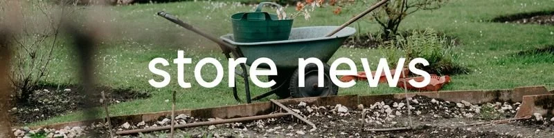 Summer Bedding Plants by the end of the month!