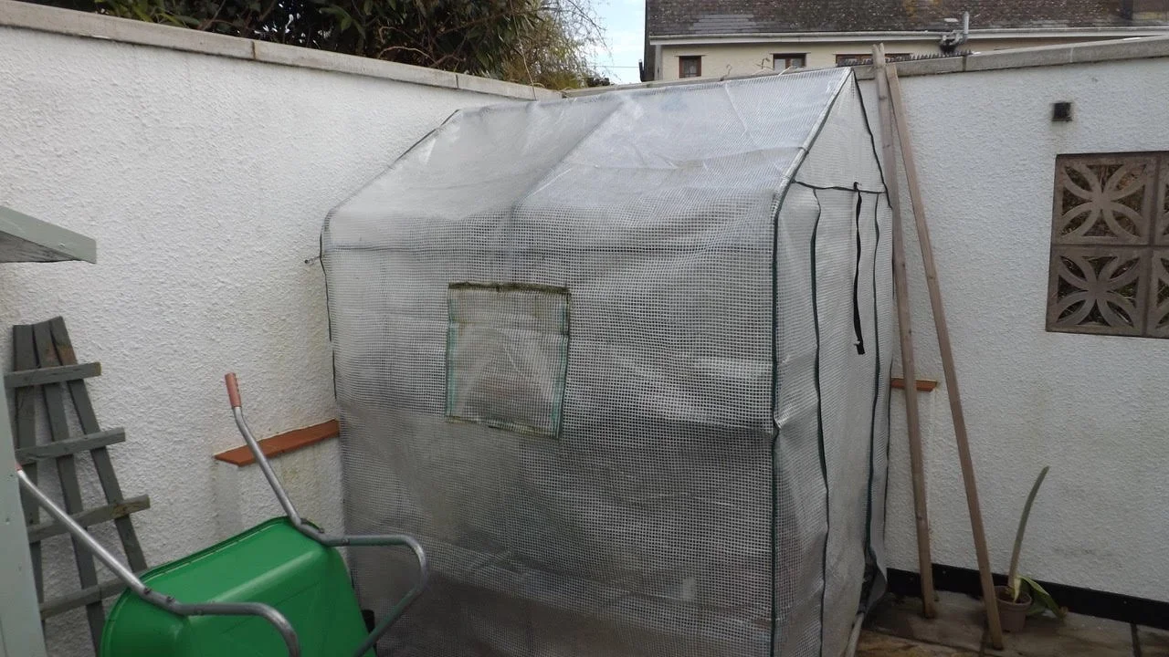 Greenhouses - free to a good home!